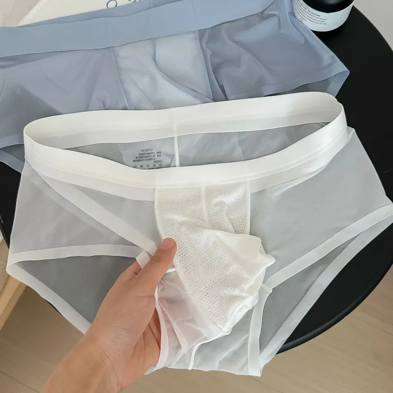 Transparent Men's Briefs Ultra-thin Ice Silk Quick Dry Panties Sexy U Bulge Pouch Man Underwear Breathable Underpants Cuecas