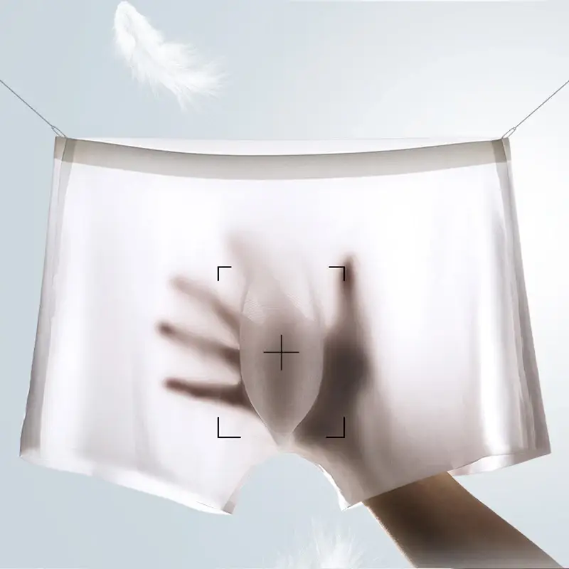 4Pcs Men Ice Silk Boxer Briefs Ultra Thin Transparent Breathable 3D Pouch Soft Mid Waist Men Underwear Shorts — image 1