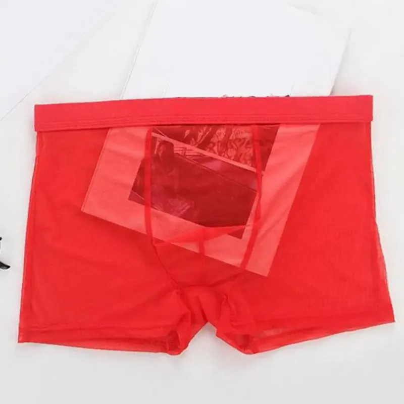 Transparent Boxers for Men See Through Male Underpants Sexy Mesh Low Waist Ice Silk Thin Cooling Men Panties Men Underwear — image 4