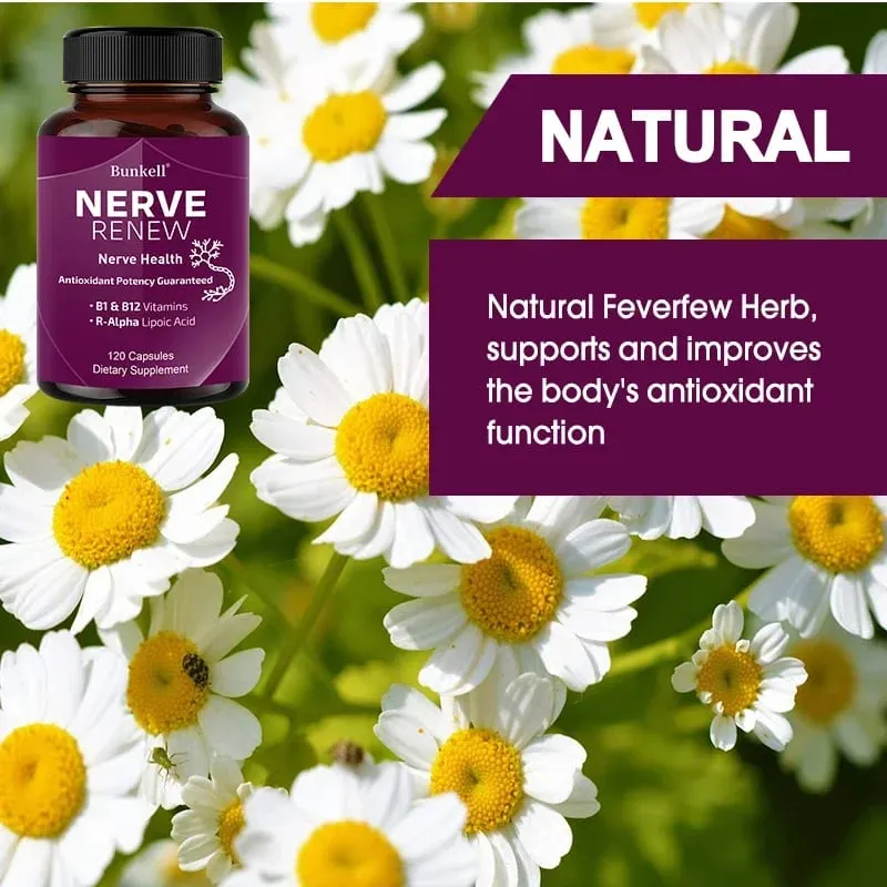 Neurological Support Capsules - Alpha Lipoic Acid Vitamins - Supports Nervous System and Joint Health Bone Health