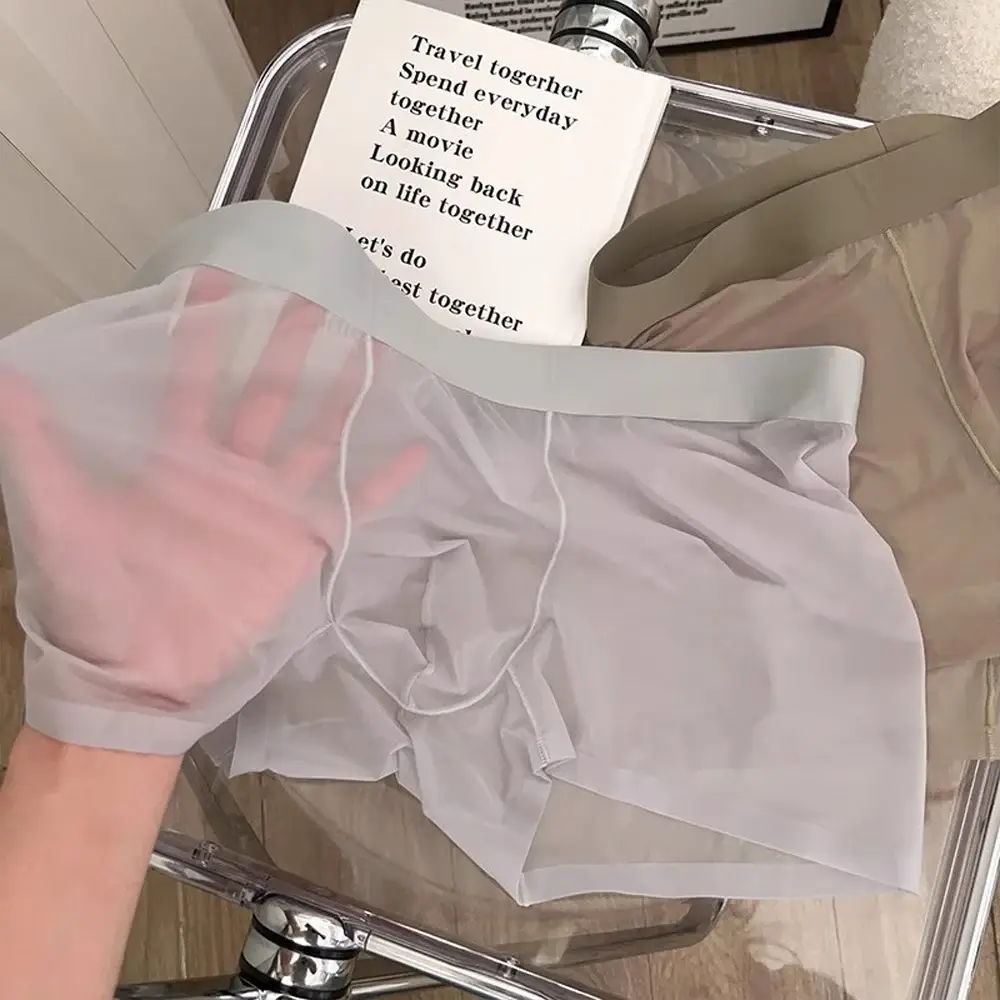 Men Sexy Elastic Men's Panties Quick Drying Ultra-thin Boxer Shorts Transparent Boxers Underwear U Bulge Pouch Sexy Und