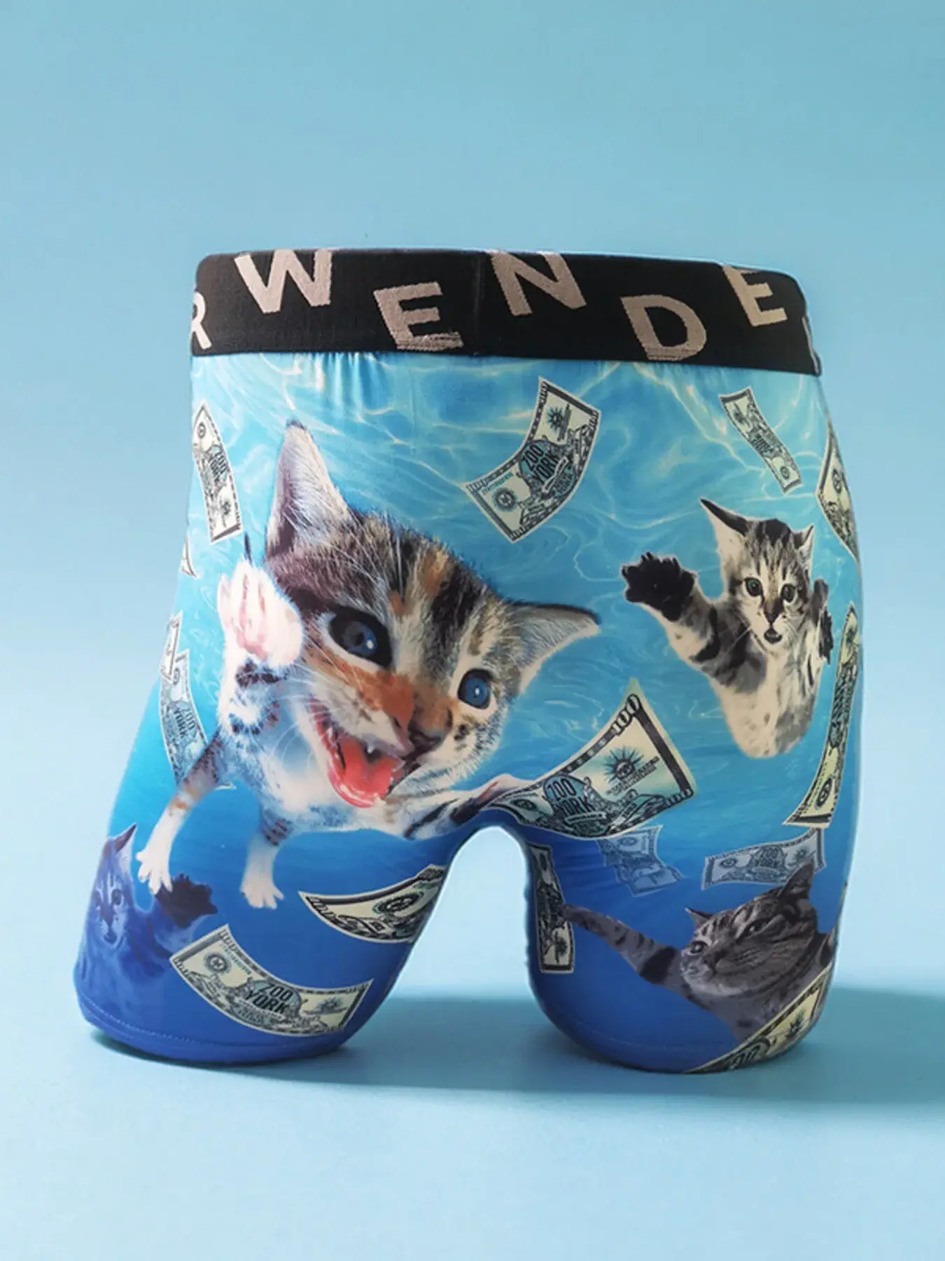 Moda Erkek 3D Kedi Baskılı Komik Desenli Tilament Pantolon Nefes Alabilir ve Rahat Hızlı Kuru Spor Boxer Külot Büyük Beden — image 2