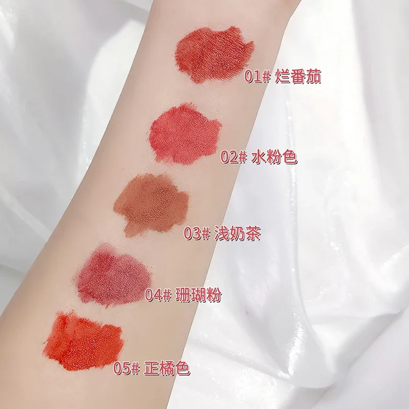 5 Colors Lipgloss Makeup Sets Waterproof Liquid Lipstick Matte Lasting Velvet Lip Mud Sexy Red Fashion Lip Stain Cosmetics