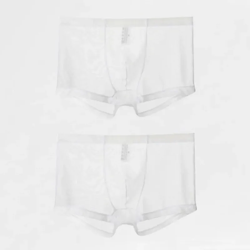 Transparent Boxers for Men See Through Male Underpants Sexy Mesh Low Waist Ice Silk Thin Cooling Men Panties Men Underwear — image 25