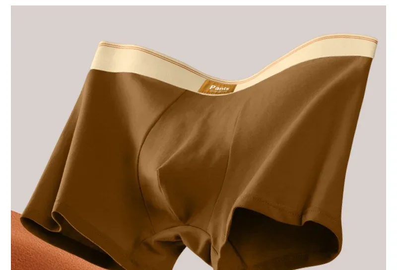 Intimo da uomo Boxer in cotone Pantaloncini Hombre Mutandine Uomo Mutande traspiranti Sport sexy Comfort Boxer maschili Taglia grande L-7XL — image 7