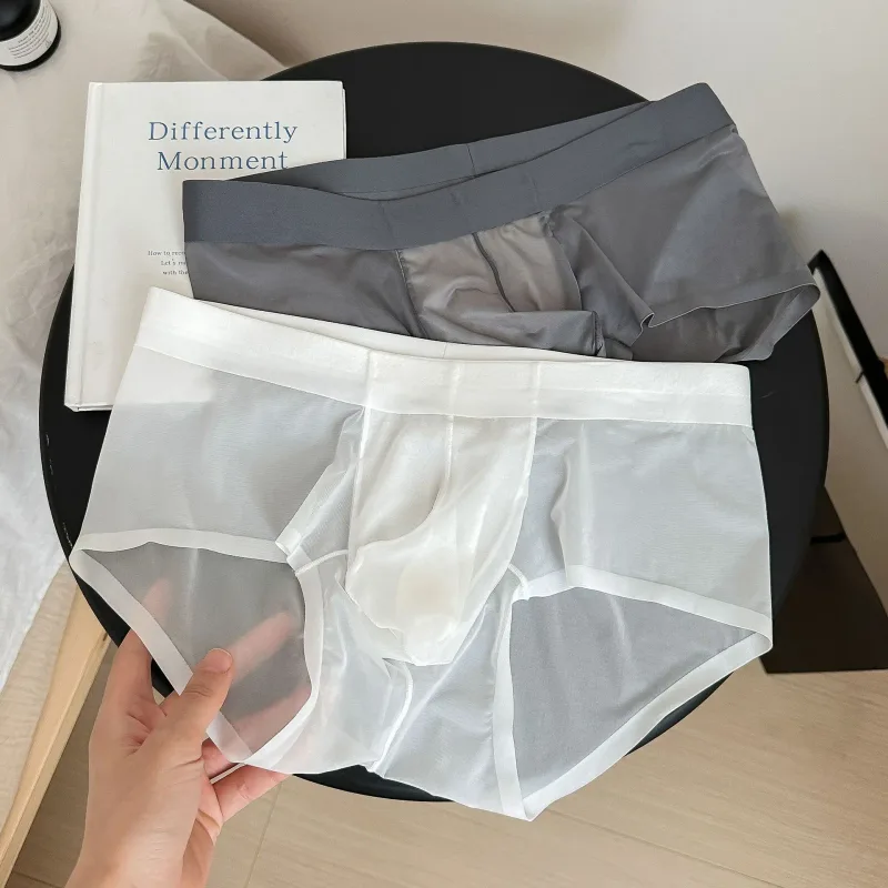 Transparent Men's Briefs Ultra-thin Ice Silk Quick Dry Panties Sexy U Bulge Pouch Man Underwear Breathable Underpants Cuecas