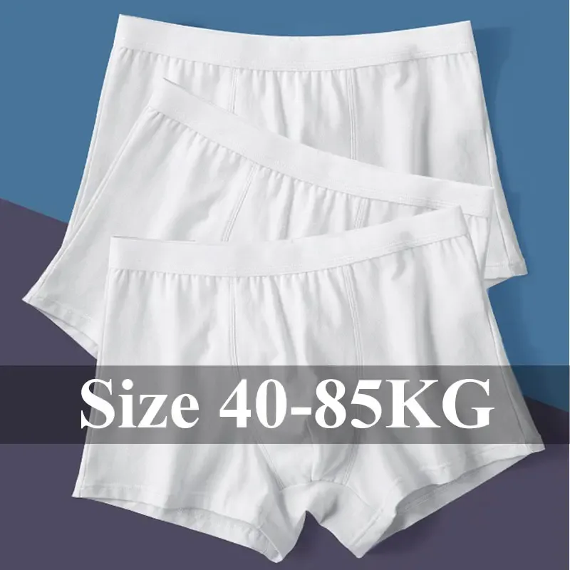 1pc/3pcs Set Panlalaking Kasuotang Panlalaki Cotton Boxers Shorts U Pouch Panties Panties ng Lalaki Panlalaking Kasuotan ng Kabataan Homme Luxury Underware