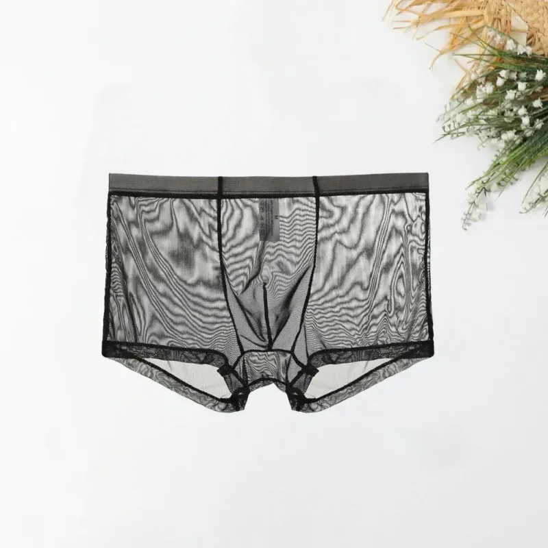 Transparent Boxers for Men See Through Male Underpants Sexy Mesh Low Waist Ice Silk Thin Cooling Men Panties Men Underwear — image 17