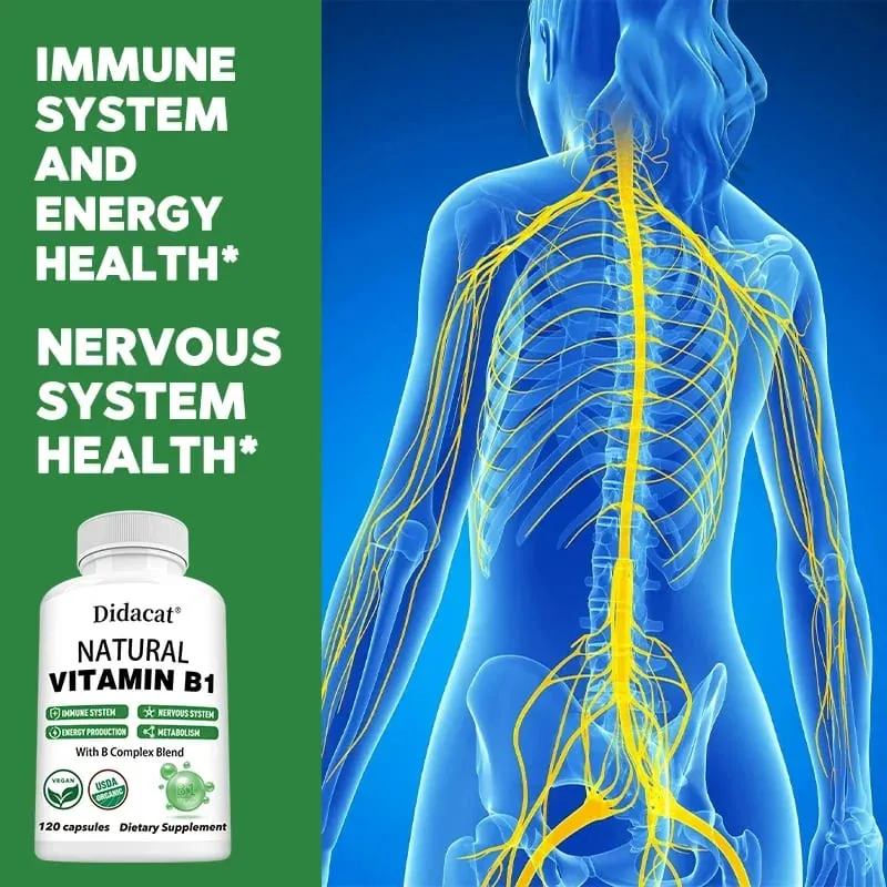 Didacat Vitamin B1 Helps The Immune System Nervous System Energy Support Dietary Supplement