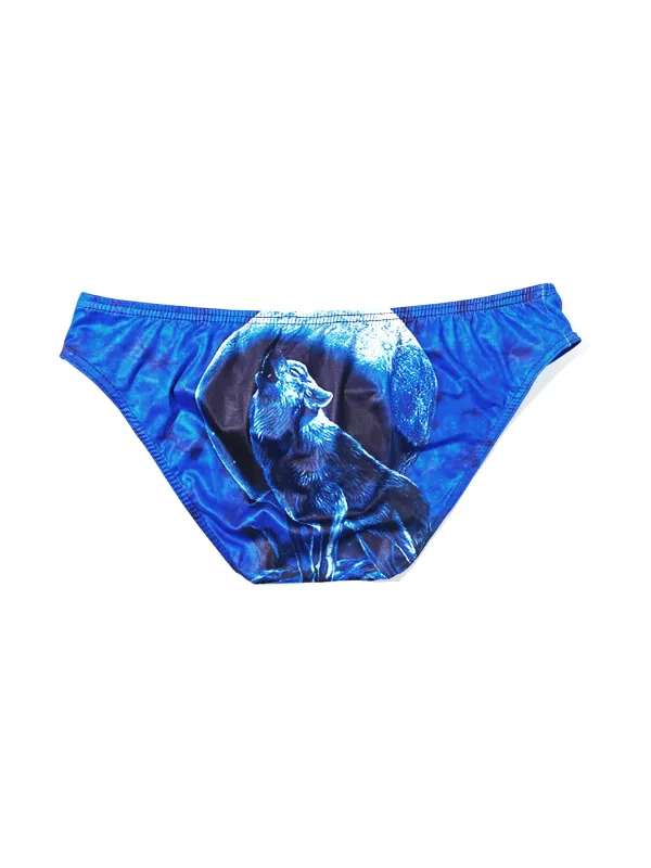 Men Bikini Briefs Sexy Underwear Gay Panties Comfortable Penis Pouch Slip Hombre Cuecas Male Underpants Polyeste Mesh Quick Dry