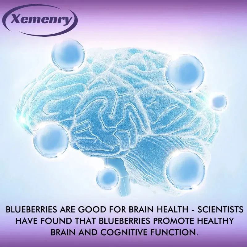 Blueberry Extract Supplement 16000mg 120 Capsules - Non-GMO