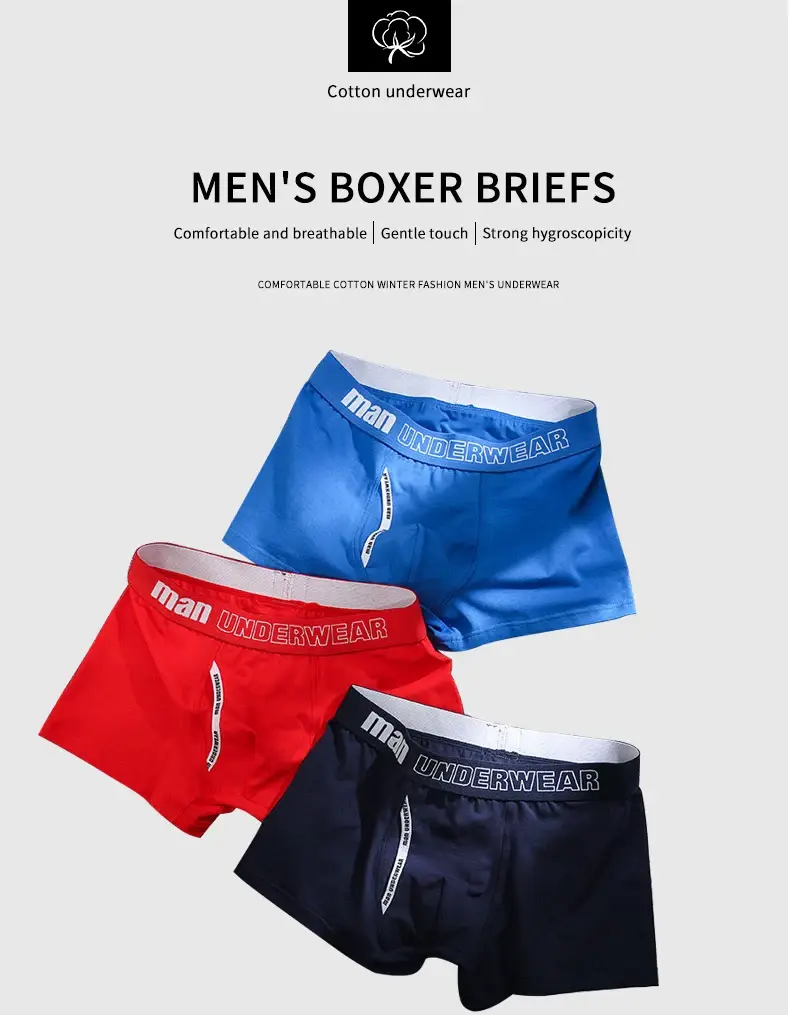 2024 new 6pcs/Lot Cotton Mens Underpants Soft Boxer Men Breathable Solid Underwear Flexible Boxershorts Cuecas Vetement Homme — image 8
