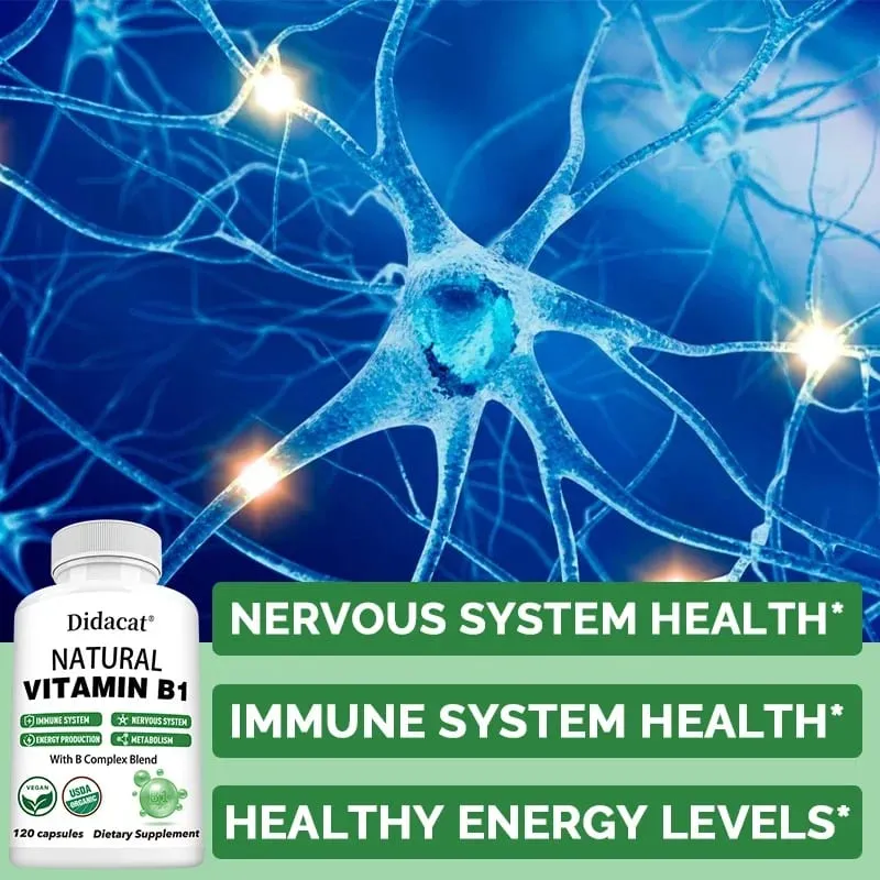 Didacat Vitamin B1 Helps The Immune System Nervous System Energy Support Dietary Supplement
