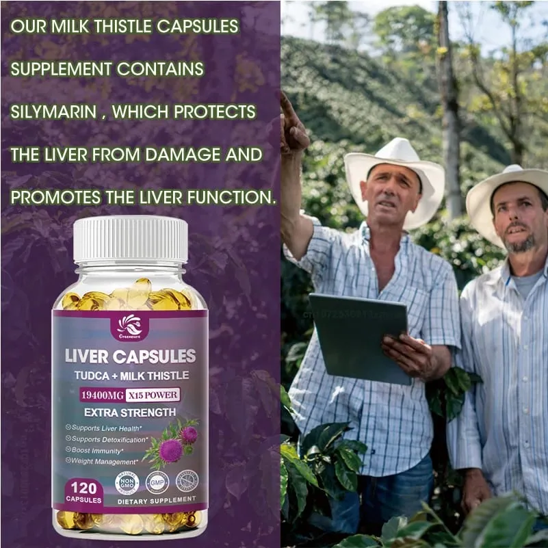 Greensure Organic Milk Thistle Extract Κάψουλα | Πικραλίδα | Εκχύλισμα αγκινάρας | Ρίζα τεύτλων | - 60/120 Κάψουλες — image 3