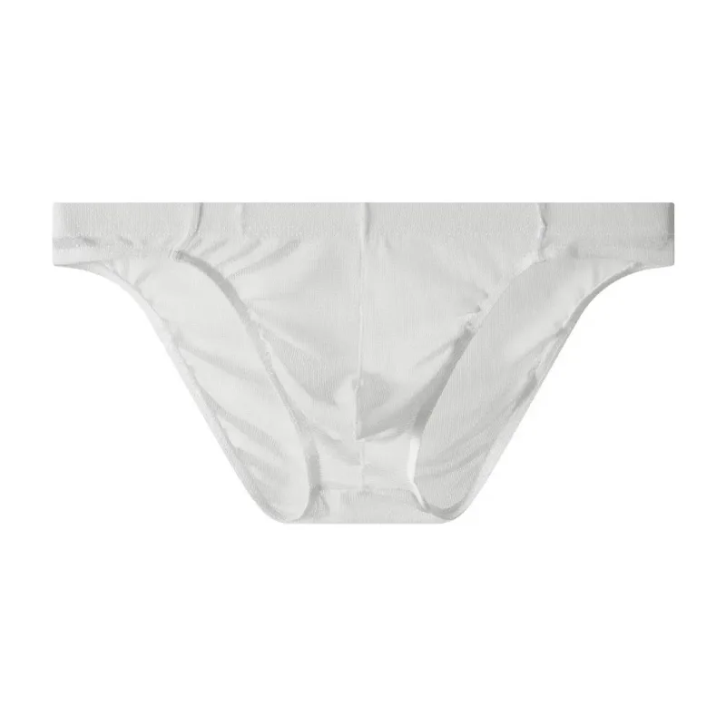 Lingerie Men Mesh Triangle Panties Low Waist Breathable Men Thin Briefs Transparent Thin Soft Underwear for Men Daily Wear