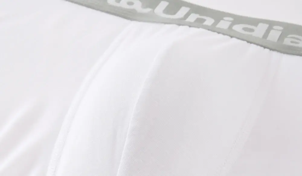 5Pcs Bamboo Fiber Men Underpants Maunidias Boxer Briefs Letter Elastic Waistband Underwear Mens Boxers Solid Color Men's Panties — image 3