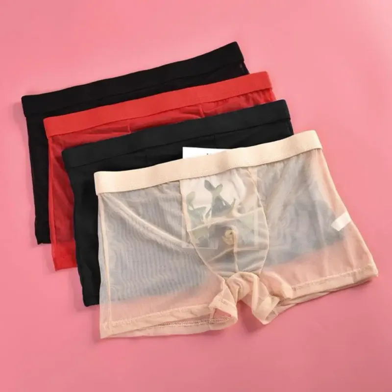 Transparent Boxers for Men See Through Male Underpants Sexy Mesh Low Waist Ice Silk Thin Cooling Men Panties Men Underwear — image 2