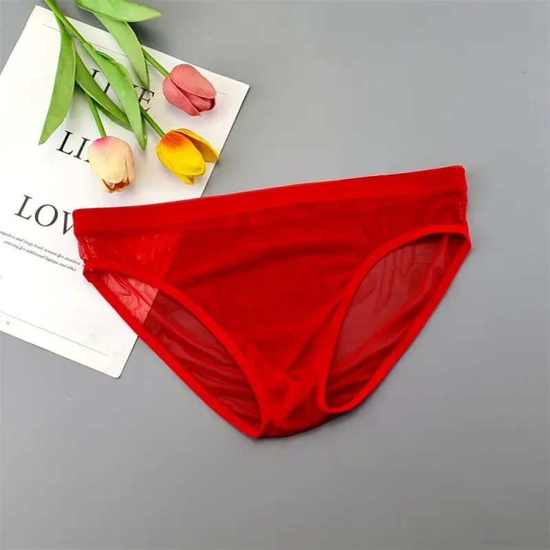 Plus Size Transparent Underwear See Through Sexy Briefs para sa Mga Lalaki na may Pouch Nylon Hombre Slips Breathable Male Panties XL-4XL — image 14