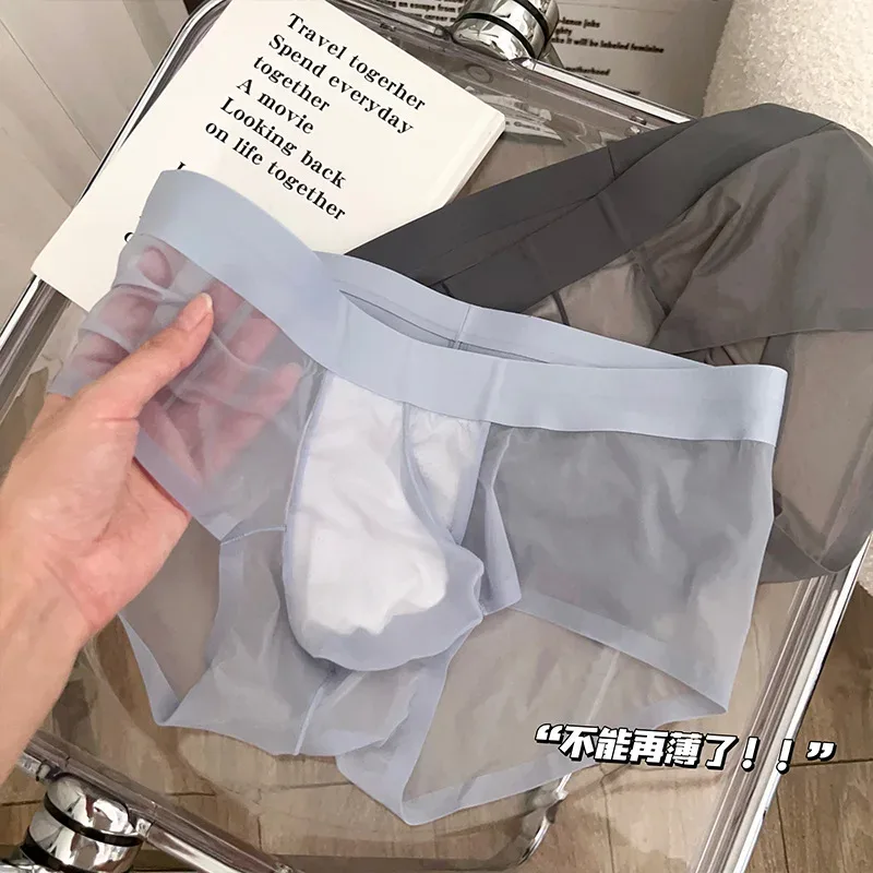Transparent Men's Briefs Ultra-thin Ice Silk Quick Dry Panties Sexy U Bulge Pouch Man Underwear Breathable Underpants Cuecas