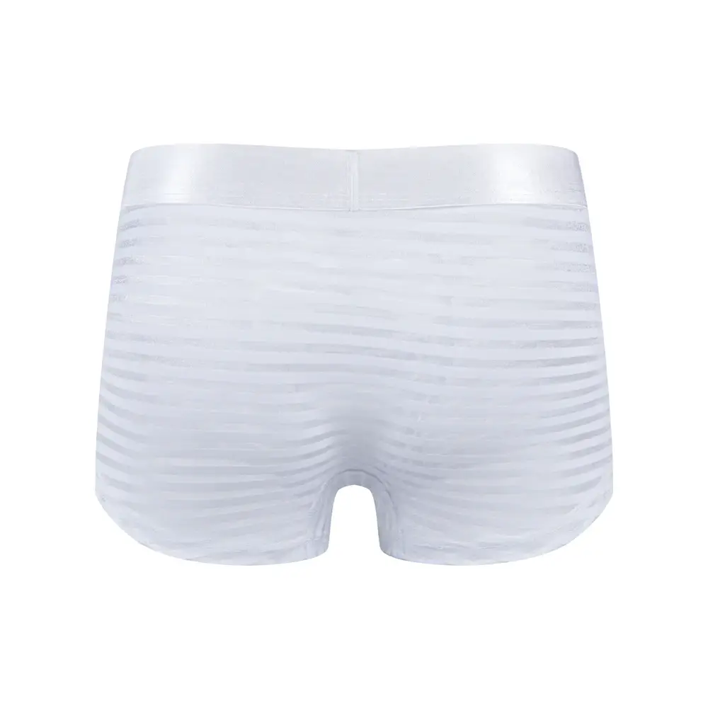 Sexy Men Underwear Boxer Shorts Transparent Mesh Underpants Trunks Men Panties Low Waist Nylon Breathable Quick Drying