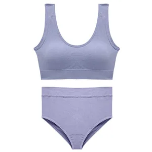 Ensemble de sous-vêtements de Sport pour femmes, grande taille, sans couture, soutien-gorge sans fil, haut rembourré, confortable, solide, Lingerie, costume