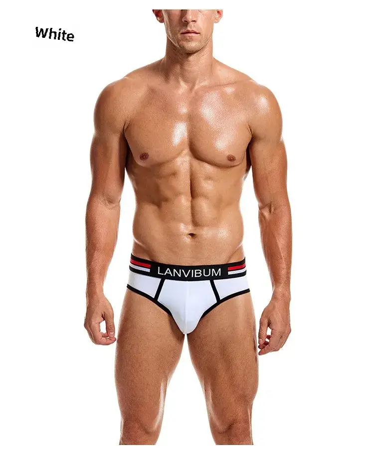 2-Piece Set - Cotton Men's Underwear Briefs Breathable Youth Mid-Waist Large-Size Men's Underwear Summer Briefs