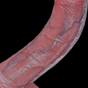 현실적인 항문 새로운 딜도 라구 딜도 Buttplug 전립선 마사지 초보자를위한 흡입 컵 페니스 여성을위한 섹스 토이 Anal Vaginal Masturba
